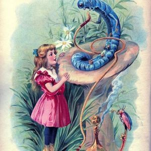 Meet your Posher, Shay